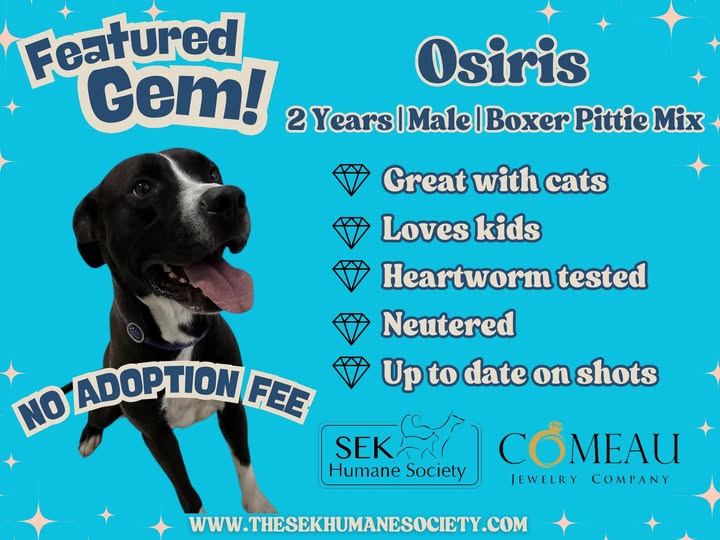 615443775_1288557886629980_6477750237193064191_n